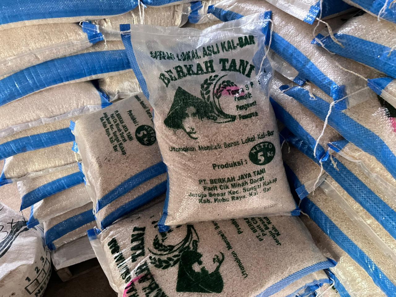 WhatsApp Image 2026 04 02 at 15.33.06